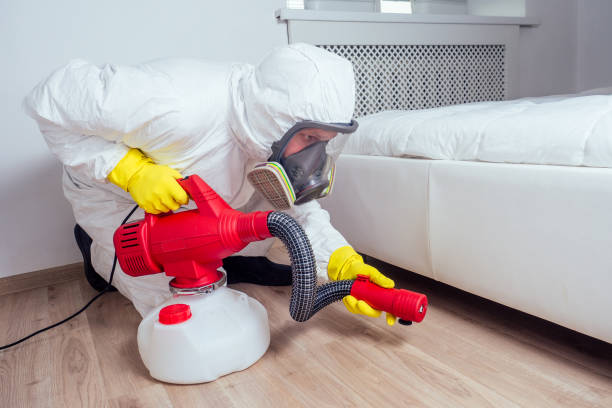 Best Pest Prevention Services  in South Fallsburg, NY